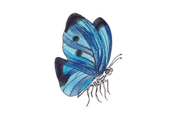 Blue Butterfly Drawing Embroidery Review