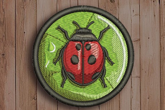Ladybug in Circle Embroidery Review